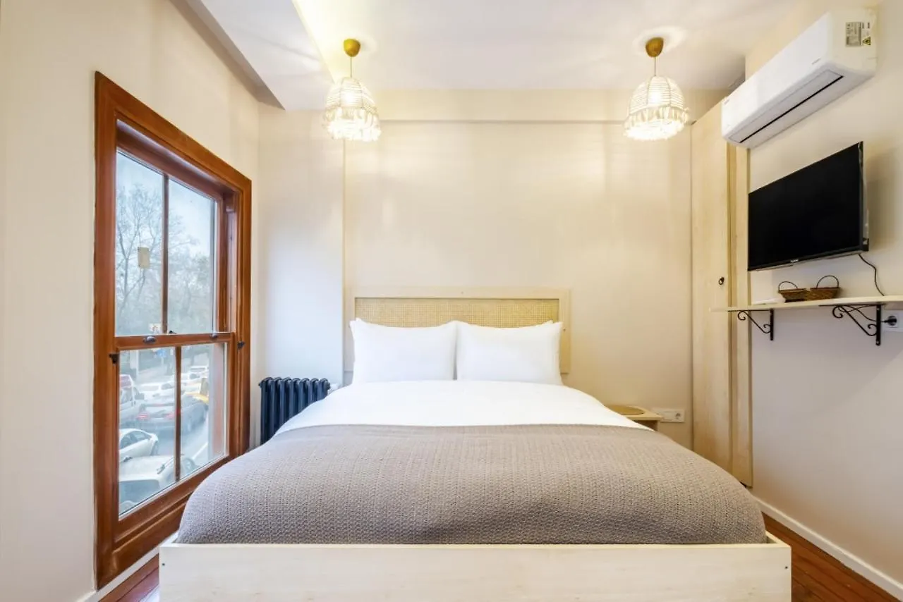 Pleasant Apartment Istanbul